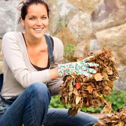 Glynn Young's Landscaping & Nursery Center - 3 Garden Products Everyone Needs