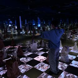 Mercer Labs - Chess Room