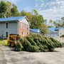 Photo of Acorn Tree Company