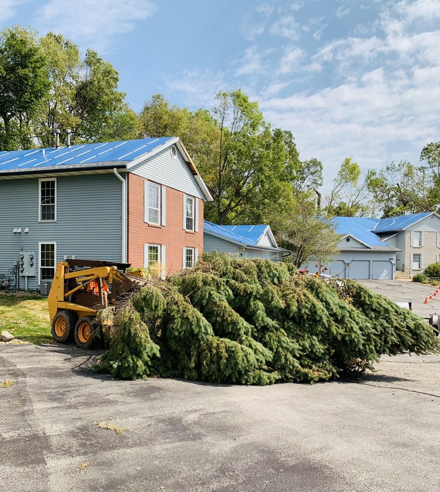Acorn Tree Company - tree service in Marion, IA