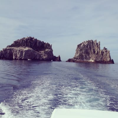 Dive! Tutukaka by null