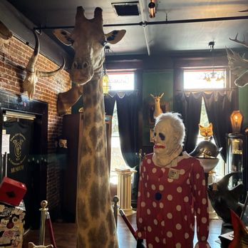 Dysfunctional Grace - a giraffe head!!.....then... that thing - Art Galleries Near Me - Tampa, Florida Dysfunctional Grace - a giraffe head!!.....then... that thing - Art Galleries Near Me - Tampa, Florida