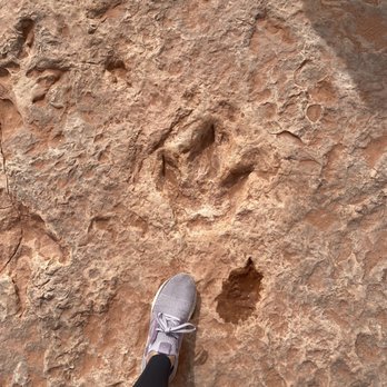 Dinosaur Tracks - Raptor mom and baby prints - Landmarks & Historical Buildings Near Me - Tuba City, Arizona