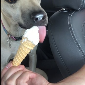 Andy's Frozen Custard - Ice Cream & Frozen Yogurt Near Me - Frisco, Texas