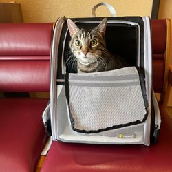 Pleasant Valley Pet Clinic - Meijo in the waiting room