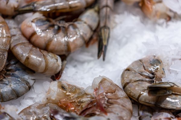 Pike Place Fish Market by null