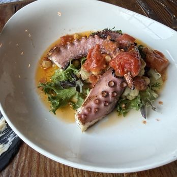 The North House - Octopus - American Near Me - Avon, Connecticut