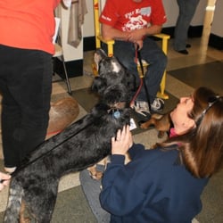 Chicagoland Family Pet Expo - Doggy at Show, Rescued Dog