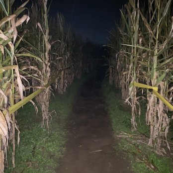 Uncle Shucks Corn Maze and Pumpkin Patch - Pumpkin Patches Near Me - Dawsonville, Georgia
