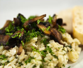 Piccoli To-Go by null