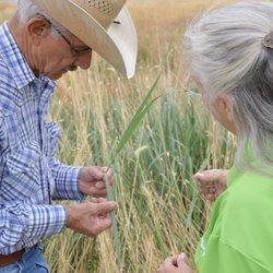 Pawnee Buttes Seed - Don Hijar, helping our friends at the Greeley Natural Areas.