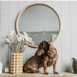 Authentic Express Handyman