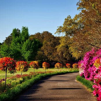 Cut And Clean Landscaping - Landscaping Near Me - Port Charlotte, Florida Cut And Clean Landscaping - Landscaping Near Me - Port Charlotte, Florida