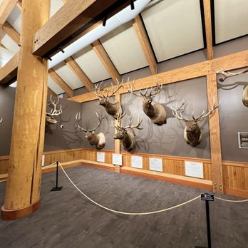 1. Rocky Mountain Elk Foundation