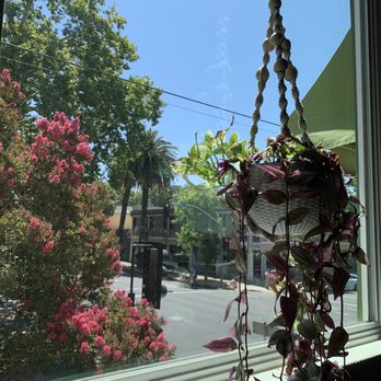 Veg Kitchen + Bar - view from indoor seating - Vegan Near Me - Sacramento, California Veg Kitchen + Bar - view from indoor seating - Vegan Near Me - Sacramento, California