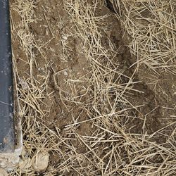 Dryzone Masonry And Construction - Ground around cellar door caving in after french drain install. Ground was never leveled as promised.