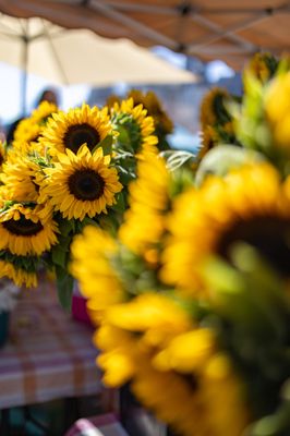 Ferry Plaza Farmers Market by null Ferry Plaza Farmers Market by null