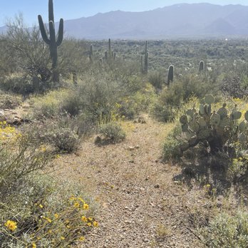 Honeybee Canyon Loop Trail - Hiking Near Me - Oro Valley, Arizona