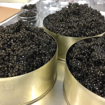 Tsar Nicoulai Caviar - Specialty Food Near Me - Concord, California Tsar Nicoulai Caviar - Specialty Food Near Me - Concord, California