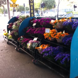 Growers Flower Factory
