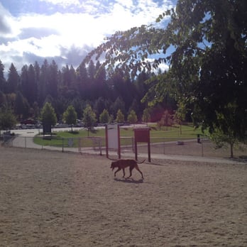 Cherry Hill Dog Park - Grassy area is disc golf and in front of that (not pictured) are tennis courts. - Kids Activities Near Me - Coeur d'Alene, Idaho Cherry Hill Dog Park - Grassy area is disc golf and in front of that (not pictured) are tennis courts. - Kids Activities Near Me - Coeur d'Alene, Idaho