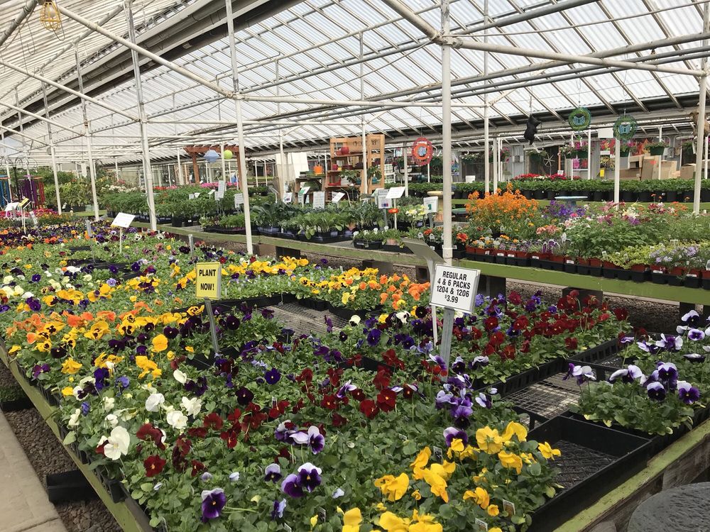 GROUNDCOVERS GREENHOUSE CLOSED Updated July 2024 13 Photos & 23