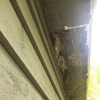 Peachtree Pest Control - Pest Control Near Me - Suwanee, Georgia