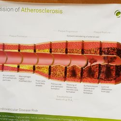 Alamo Osteopathic Physicians & Surgeons - Buenos dias. Esperando mirar al Doctor por mi hijo #retonoadicionalaazucar gracias por toda su ayuda el es Autista.