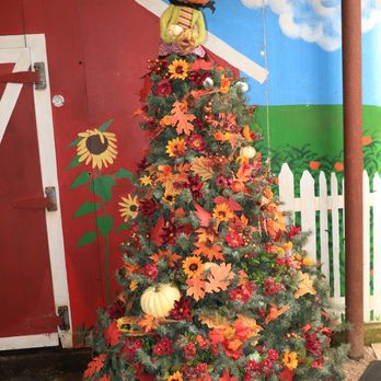 The Apple Store - Pumpkin Patches Near Me - Medina, Texas