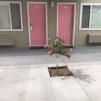 Flamingo Motel - The little pockets where the doors meet - Hotels Near Me - San Jose, California