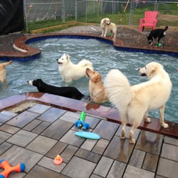 Add-En-On Pet Resort & Play