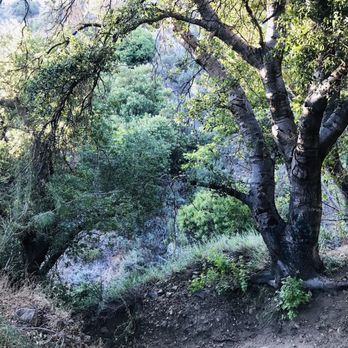 Wilson Canyon Park - This is the beautiful area, where I felt the Strange Vibe :( - Hiking Near Me - Sylmar, California