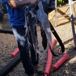 Shredded HARBOR FREIGHT EXTREME DUTY TARP. After 1 day of 30mph winds. Shredded HARBOR FREIGHT EXTREME DUTY TARP. After 1 day of 30mph winds.