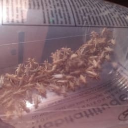 70 large crickets instead of 90 what i paid for.