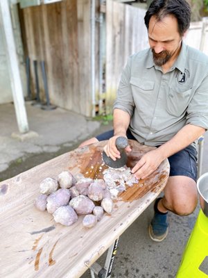 Waiahole Poi Factory by null