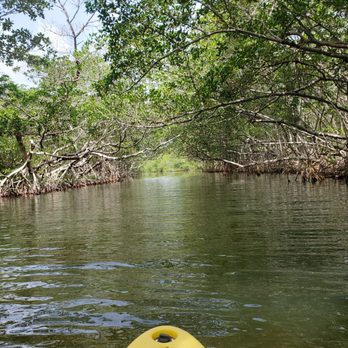 Hampton Inn Key Largo, FL - Kayaking the Mangroves from the Hampton Inn - Hotels Near Me - Key Largo, Florida