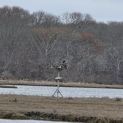 Allen's Pond Wildlife Sanctuary