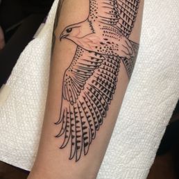 Finished outline of hawk tattoo Finished outline of hawk tattoo