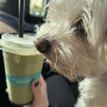 Grid Coffee - Blueberry matcha with oat milk - Coffee & Tea Near Me - Diamond Bar, California Grid Coffee - Blueberry matcha with oat milk - Coffee & Tea Near Me - Diamond Bar, California