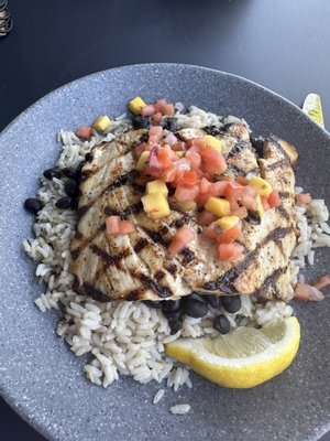 Oceanside Safari Restaurant & Lounge by null