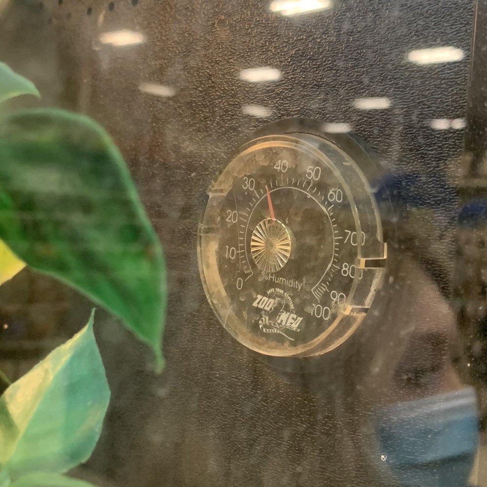 PetSmart - Crested gecko Humidity at 35 when it's supposed to be 60-90. - Pet Training Near Me - Chesterfield, Missouri PetSmart - Crested gecko Humidity at 35 when it's supposed to be 60-90. - Pet Training Near Me - Chesterfield, Missouri