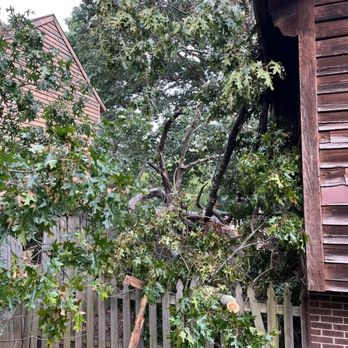 Bryce Tree Service - Tree Services Near Me Bryce Tree Service - Tree Services Near Me