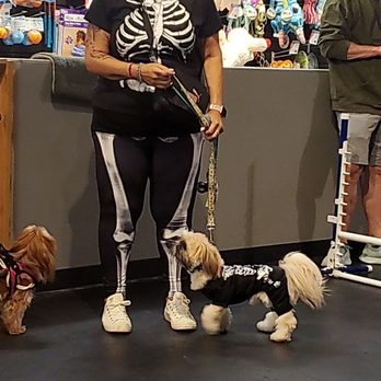 Zoom Room Dog Training - Pet Training Near Me - Sherman Oaks, California Zoom Room Dog Training - Pet Training Near Me - Sherman Oaks, California