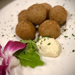 Zeno's on the Square - Shrimp Fritters