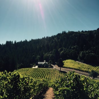 Checkerboard Vineyards - Wineries Near Me - Calistoga, California Checkerboard Vineyards - Wineries Near Me - Calistoga, California