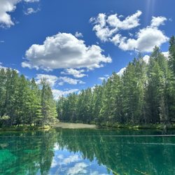 Kitch-iti-Kipi - View of the spring