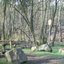 Geologischer Lehrpfad Altranft - Geologischer Lehrpfad Altranft_Picknick?