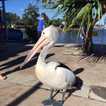 Barnacles Cafe - Cafes Near Me - Tin Can Bay, QLD