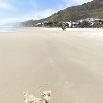Playas La Mision - He saw guys riding horses on the beach - Beaches Near Me - Santiago de Querétaro, BCN