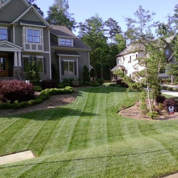 Georgia Grass - a front yard of a house - Landscaping Near Me Georgia Grass - a front yard of a house - Landscaping Near Me